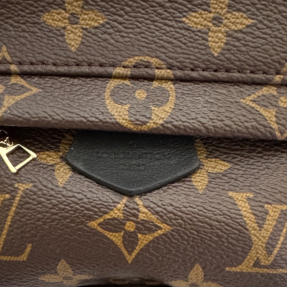 Louis Vuitton Palm Springs Mini Backpack - Picture 3 of 10